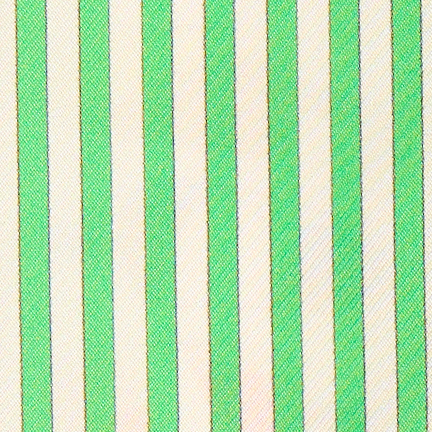LIGHT GREEN SILK TWILLY - Image 4